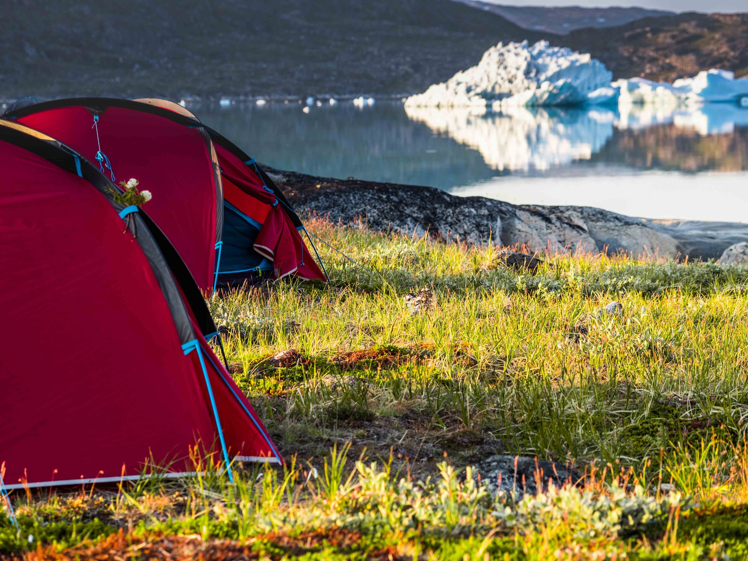 WildGreenland-small (44 of 190).jpg