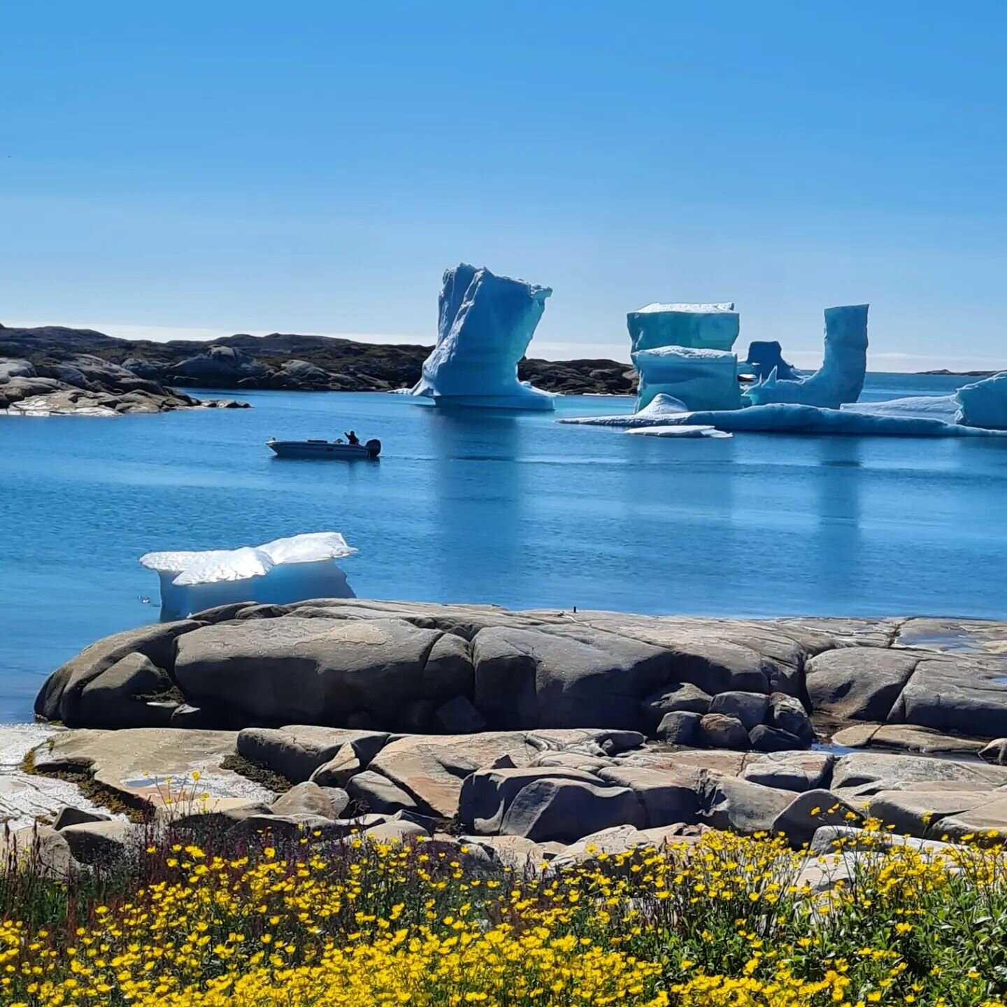 A sunny trip to Qassimiut our local village ☀️☀️☀️
&mdash;&mdash;&mdash;&mdash;&mdash;&mdash;⁠⠀
⁠⠀
Choose adventure.⁠⠀
Experience life on the frontier at Greenland's only reindeer station. ⁠⠀
Hiking, glacier and wildlife tours.⁠⠀
www.wildgreenland.c