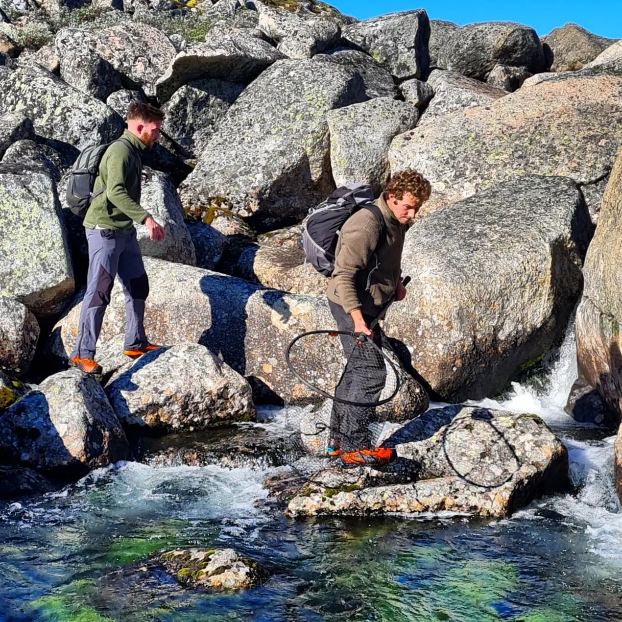Catching Char, smoking Char, and the best bit, eating Char!
We'll be doing this on our Wild Food &amp; Survival course next summer.
Who wants to join? 
🙌🙋🔥🐟
.
.
.
.
.
.
.
.
.
.
.
.
.
.
.
.
.
.
#greenland #greenlandpioneer
#wildernessskills #